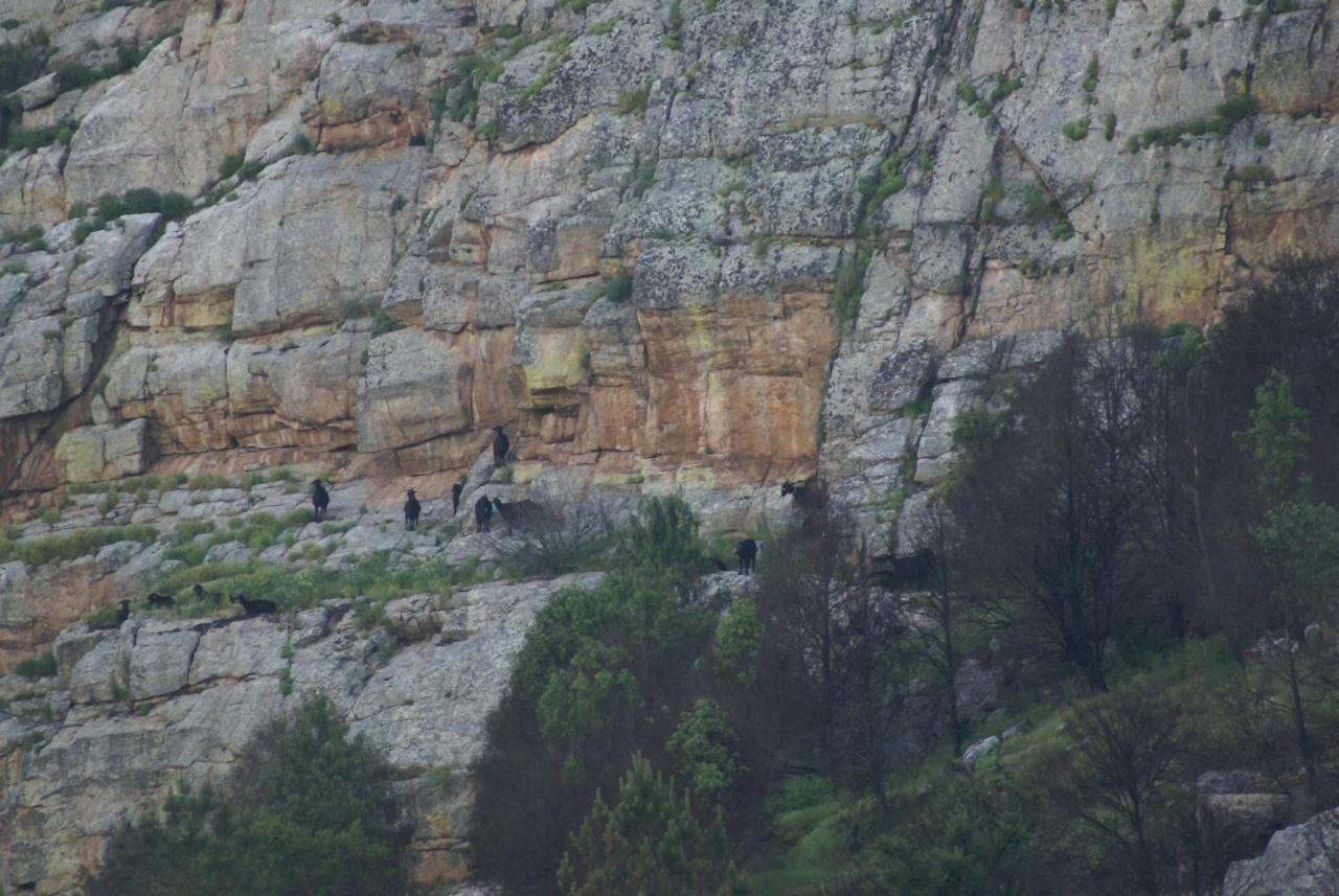 Monte Do Pego Villa Arneiro  ภายนอก รูปภาพ