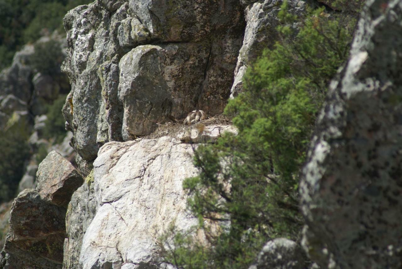 Monte Do Pego Villa Arneiro  ภายนอก รูปภาพ